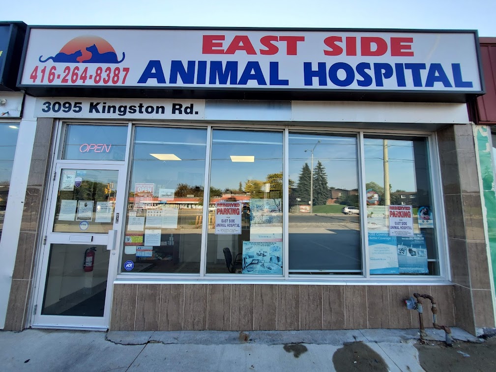 East Side Animal Hospital - Affordable Vet in Toronto, Scarborough, GTA